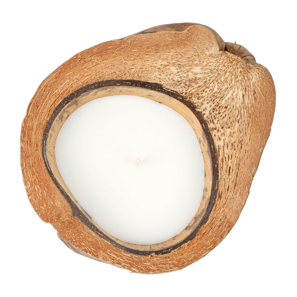 Coco Casa Handmade Coconut Shell Husk Candle - Spring Hydrangea - 6 1/2" x 6 1/2" x 2 1/2" - 1 count box