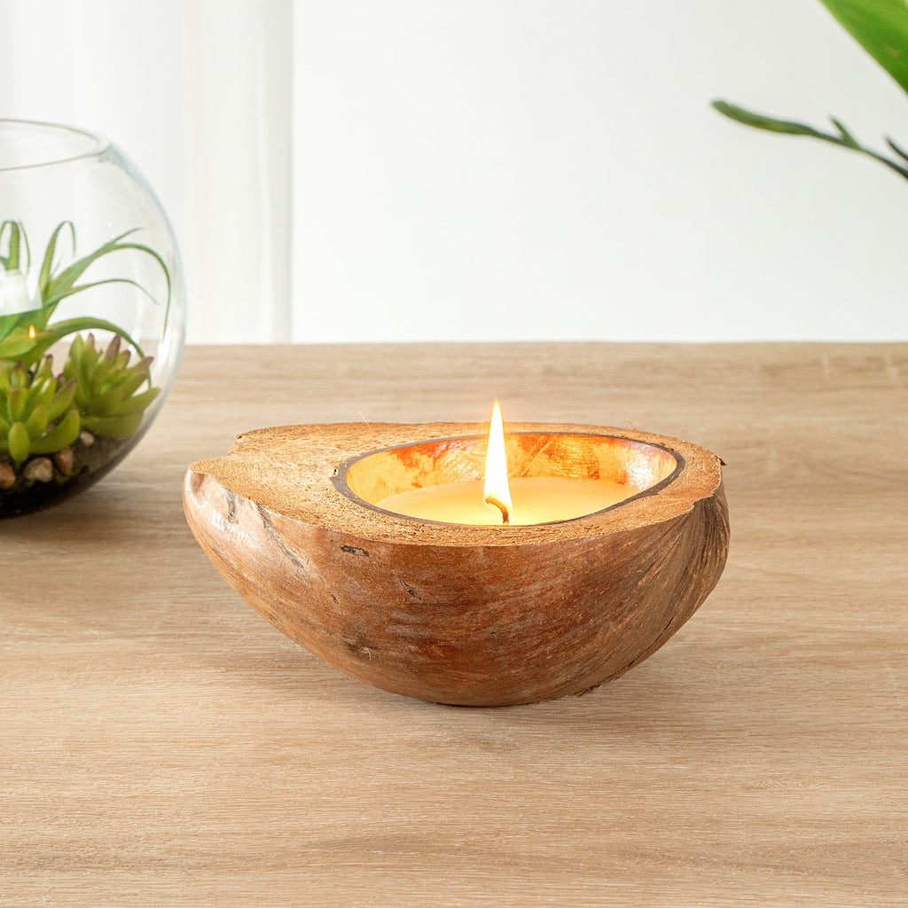 Coco Casa Handmade Coconut Shell Husk Candle - Spring Hydrangea - 6 1/2" x 6 1/2" x 2 1/2" - 1 count box