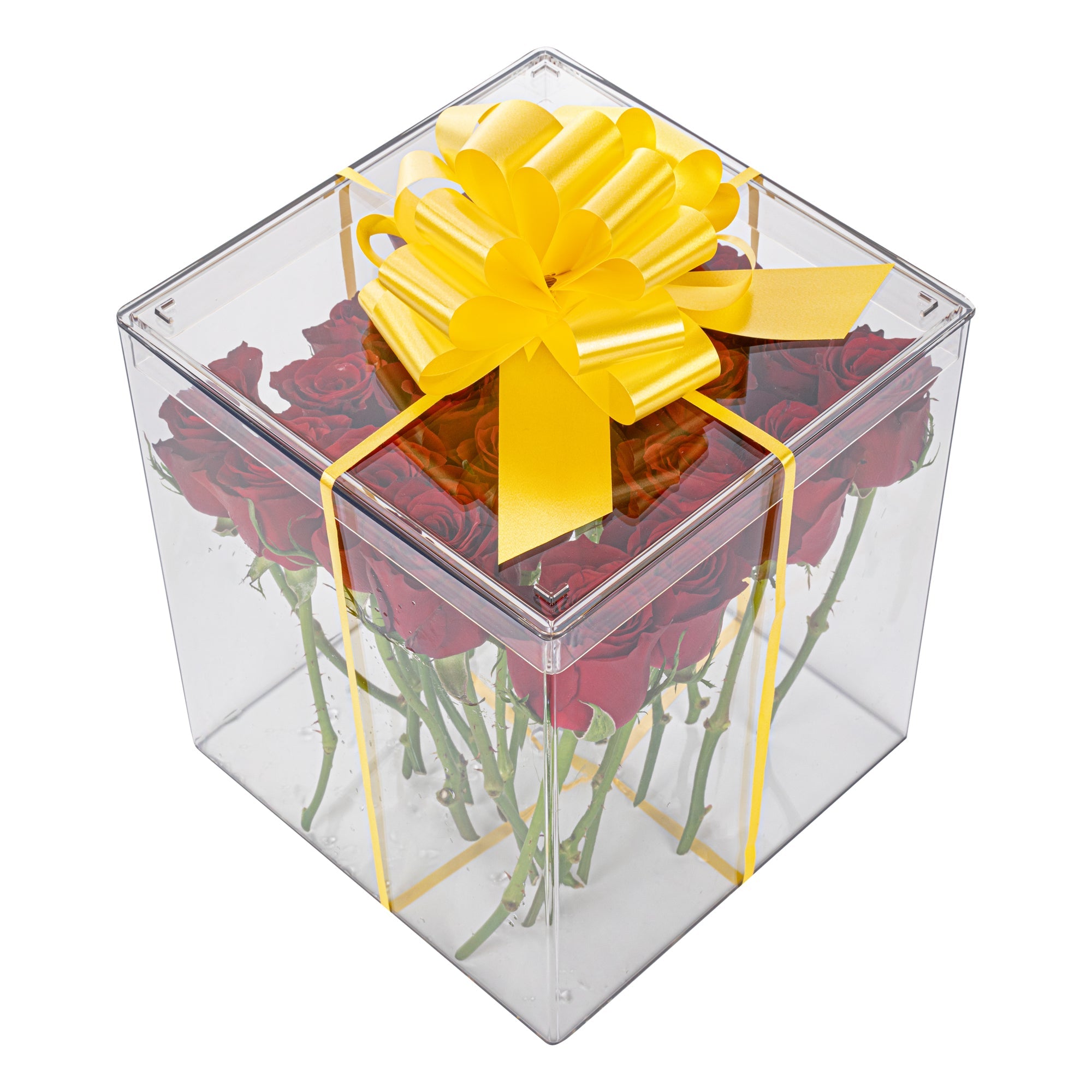 Gift Tek Yellow Plastic Flora Satin Pull Bow - 5 1/2" - 10 count box