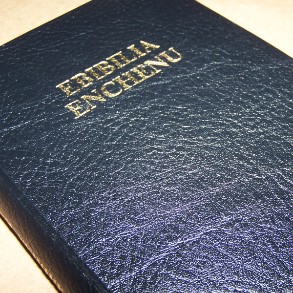 detail_1755_Ebibilia_Enchenu.png