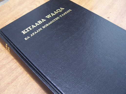 detail_249_BORANA1.jpg