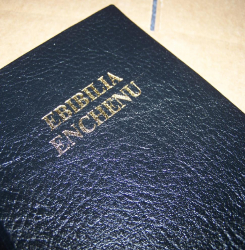 Bibles