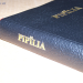 detail_1832_Pipilia;_Pokot_Bible.png