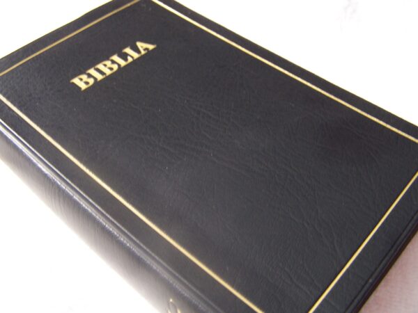 BIBLIA :SWAHILI BIBLE (Union Version)