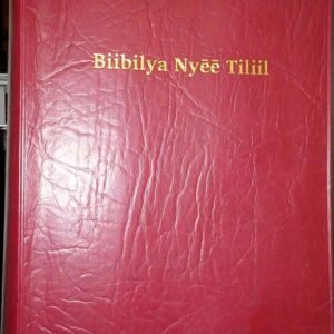 BIIBILYA NYEE TILTIIL: Soboat Bible